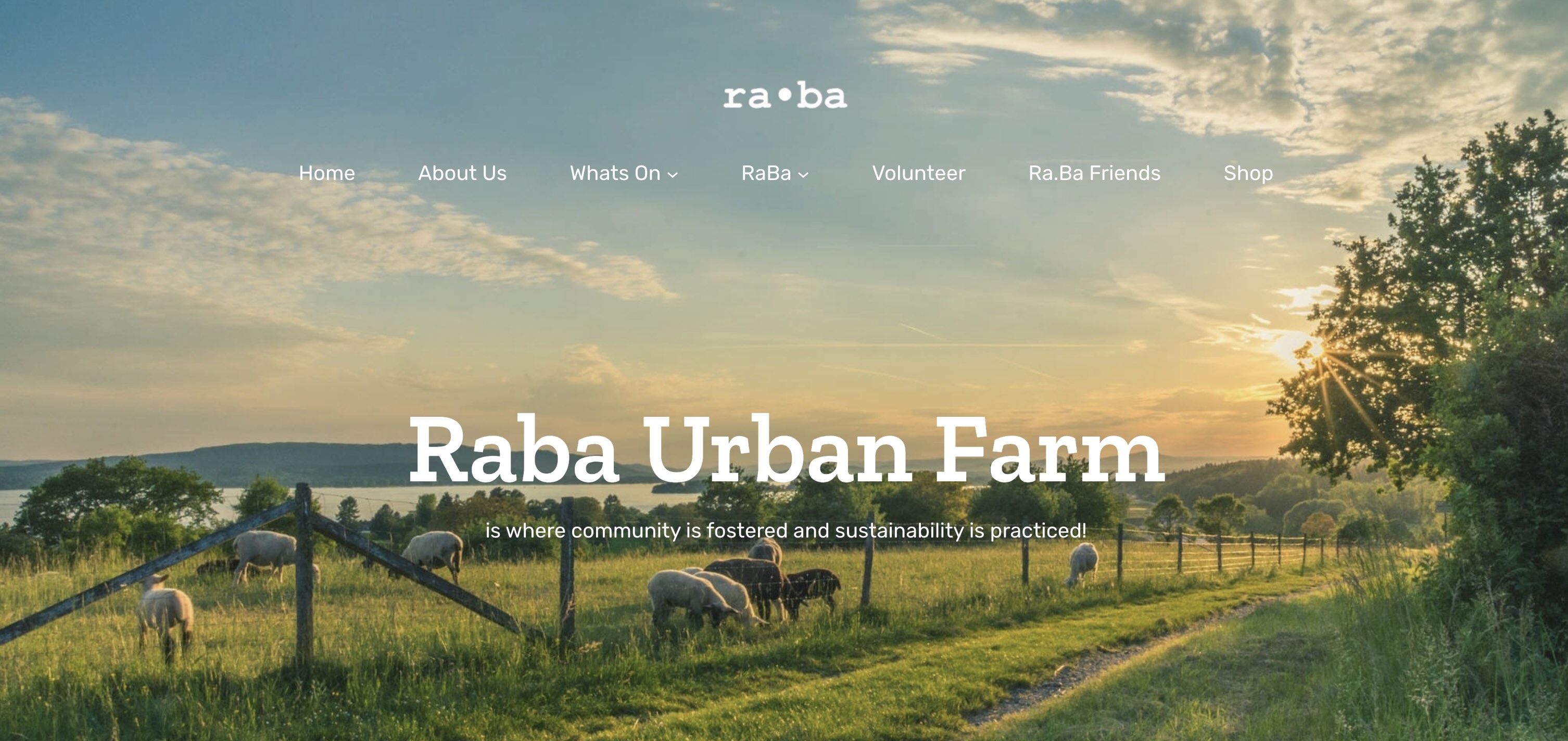 Raba Urban Farm website